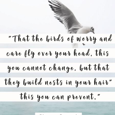 May these quotes free you of your worries and anxieties so that you may live freely and peacefully. These worry quotes will nourish your soul. Inside 25 worrying quotes, & 25 quotes to live by. #inspirationalquotes #worryquotes
