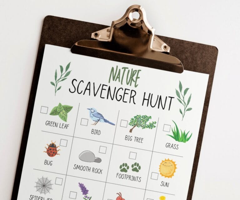 Nature Scavenger Hunt Ideas