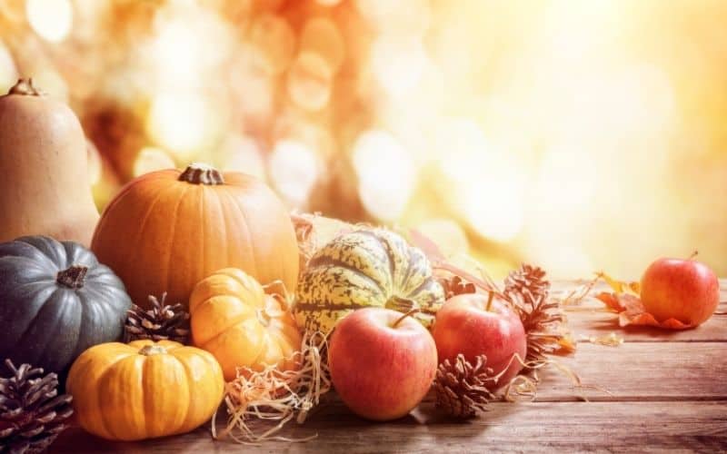 fall activities